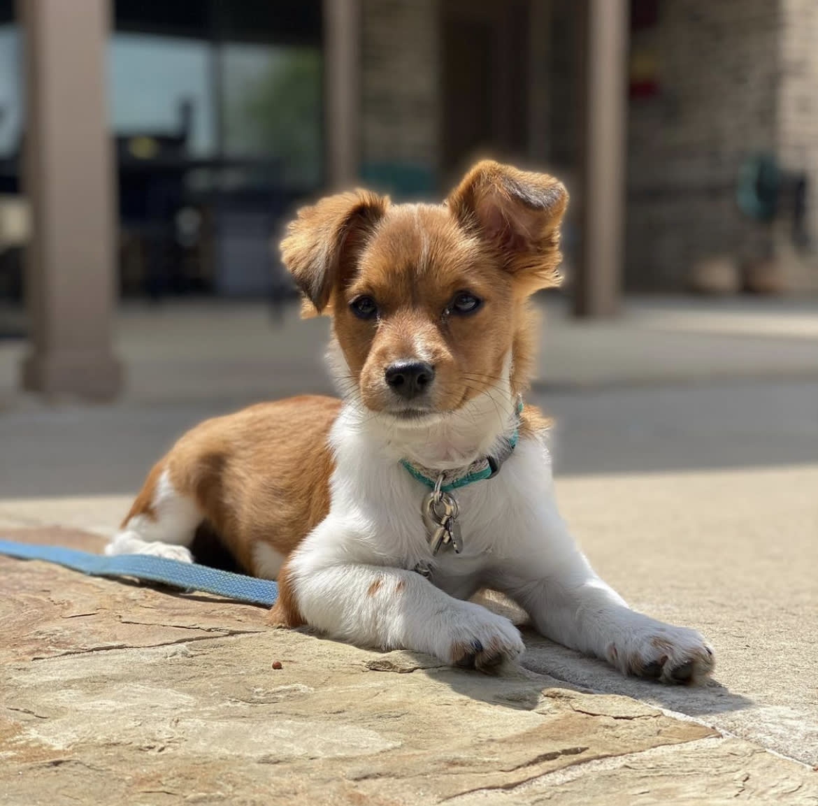 Photo of Taco